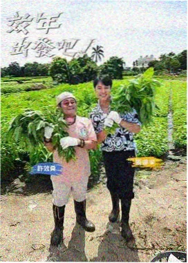 向往的生活 在线观看大片免费网站